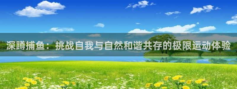 九球体育苹果版下载