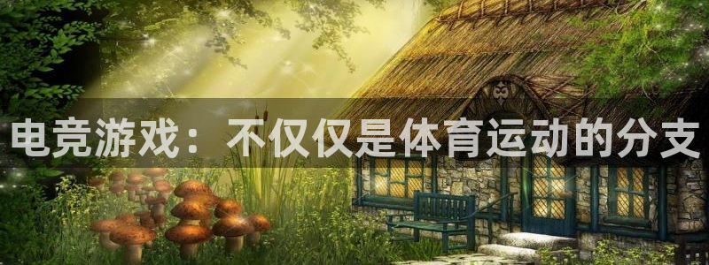九球体育m.tydop：电竞游戏：不仅仅是体育运动的分支