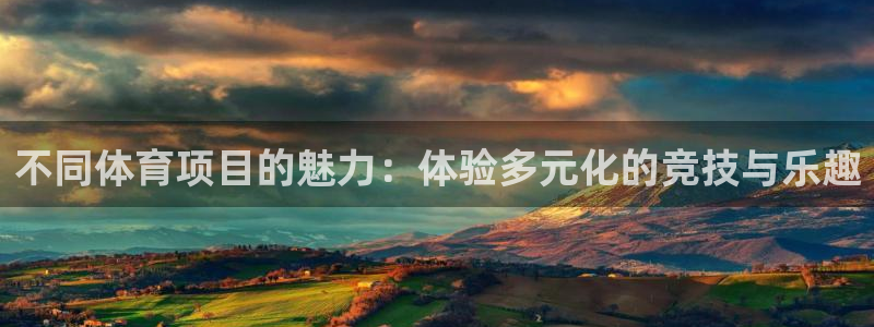 九球体育m.tydop：不同体育项目的魅力：体验多元化的竞技与乐趣