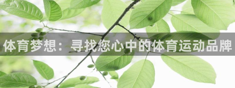 九球体育在线nba直播吧：体育梦想：寻找您心中的体育运动品牌