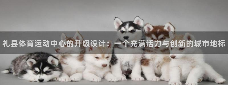 九球体育app-九球体育官方在线直播