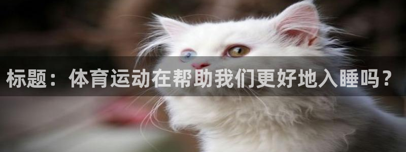 九球体育免费进入