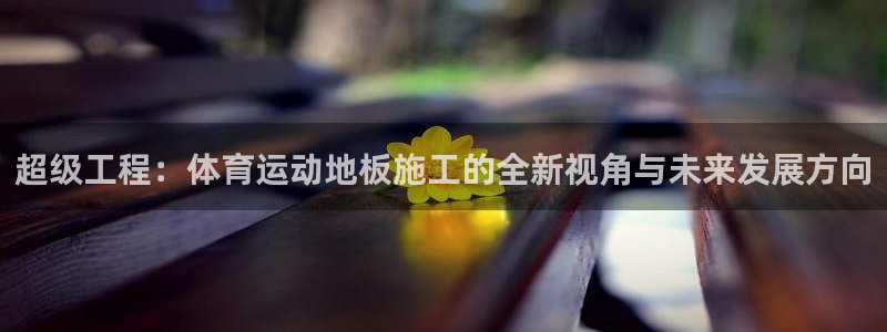 九球体育