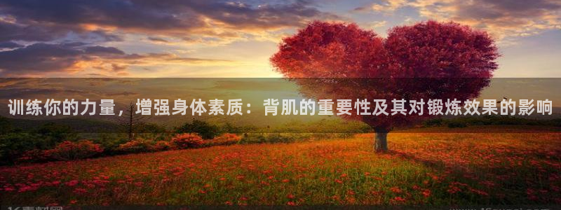 九球体育录像在线观看