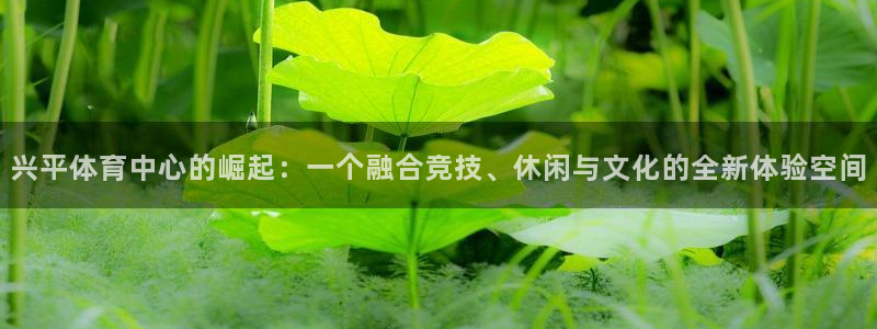 九球体育m.tydop